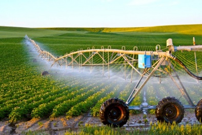 TP. HCM hỗ trợ kinh phí cho các dự án khởi nghiệp nông nghiệp