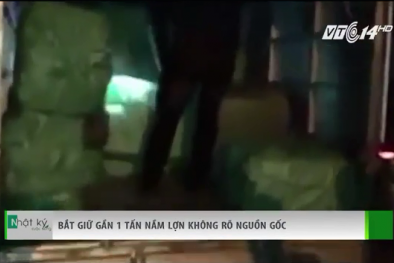 Bắt giữ gần 1 tấn nầm lợn không rõ nguồn gốc suýt lên bàn tiệc