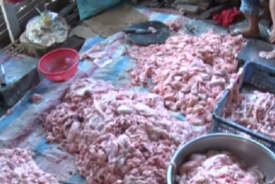Chặn 800kg mỡ lợn thối, ruồi nhặng bu kín trên xe tải tại Bình Định