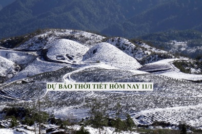 Dự báo thời tiết ngày 11/1: Bắc bộ có nơi lạnh 12 độ