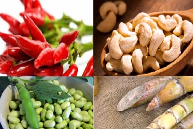 16 thực phẩm tự nhiên chứa chất cực độc có thể 'quật ngã' bạn ngày Tết