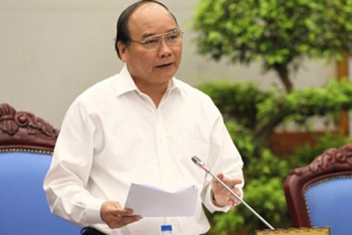 Thủ tướng: Cần đẩy mạnh nghiên cứu, ứng dụng KHCN cao trong nông nghiệp