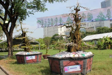 Cặp khế kiểng được rao bán giá 12 tỷ tại chợ hoa Tp. Hồ Chí Minh