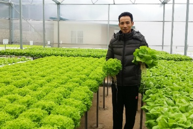 Thạc sĩ tài chính thu mỗi tháng gần tỷ đồng từ rau sạch
