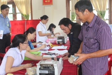 Tạm cấp kinh phí bồi thường sự cố môi trường biển lần 2