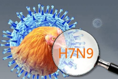 Dịch cúm A/H7N9 có thể gây tử vong cao, người dân không nên lơ là