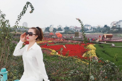 Đi lễ Phủ Tây Hồ 'tranh thủ' selfie với thung lũng hoa đẹp mê li