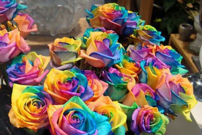Quà tặng Valentine độc đáo đầy ý nghĩa cho các cặp đôi