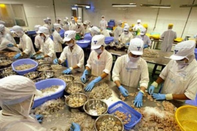 Thủ tướng: Việt Nam phải là 'thủ phủ tôm' thế giới