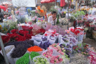 Thị trường hoa Valentine 2017: Chợ đầu mối giảm, cửa hàng lẻ ‘thổi giá’ tăng gấp 4 lần