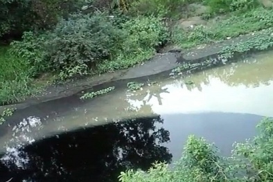 Gây ô nhiễm môi trường, 5 cơ sở tại Hà Nội bị phạt trên 1 tỷ đồng