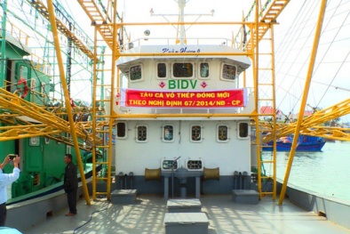 Bình Định bàn giao 8 tàu cá vỏ thép cho ngư dân