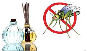 Mẹo đơn giản đuổi sạch muỗi không cần thuốc xịt