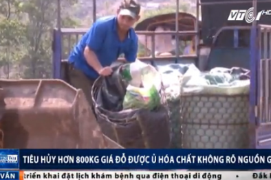 Huế: Tiêu hủy gần 1 tấn giá đỗ ủ hóa chất
