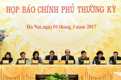 Thông tin về tài sản gia đình Thứ trưởng Hồ Thị Kim Thoa làm nóng họp báo Chính phủ