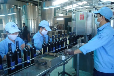 Thủ tướng Chính phủ yêu cầu tăng cường quản lý sản phẩm rượu