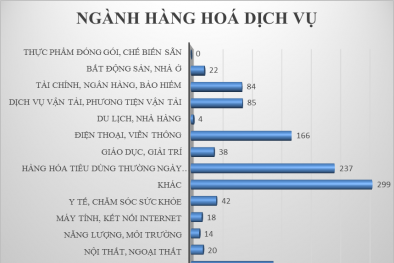 Top 3 ngành hàng bị khiếu nại, phản ánh nhiều nhất tại Việt Nam