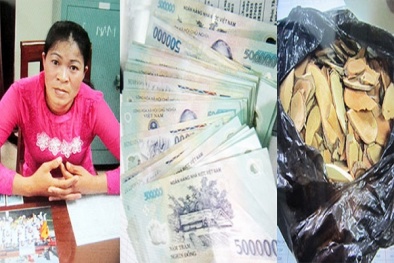 Lừa bệnh nhân ung thư bằng 'thần dược' gỗ thái mỏng