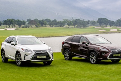 Toyota triệu hồi cùng lúc 2 dòng xe Lexus RX200t và Lexus RX350
