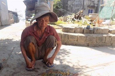 Cam Ranh: Tôm hùm chết hàng loạt gây thiệt hại lớn