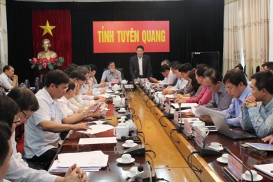 Đoàn công tác Bộ KH&CN làm việc với UBND tỉnh Tuyên Quang