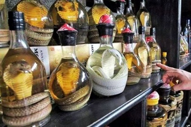 'Loạn rượu ngâm', người tiêu dùng uống độc vào người