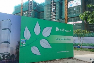 Yêu cầu Chủ đầu tư Ecolife Capitol bồi thường hơn 200 căn hộ bị sai vật tư, cấu trúc