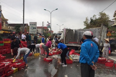 Xe tải bị lật, người dân 'xắn tay áo' giúp tài xế nhặt 2 tấn cá