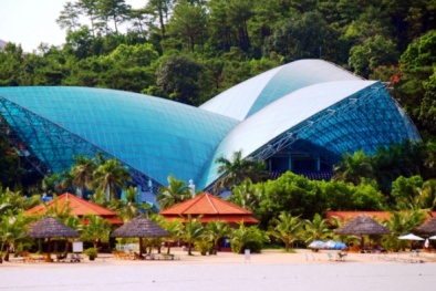Công ty TNHH Âu Lạc Quảng Ninh là 'quán quân' về nợ đọng BHXH