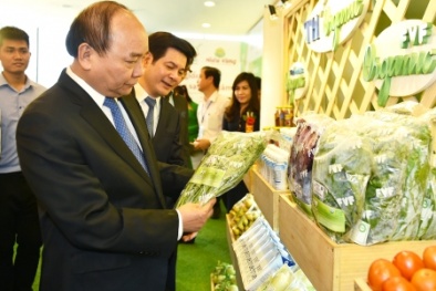 Thái Bình hút được vốn 'khủng' hơn 25 nghìn tỷ trong 1 ngày
