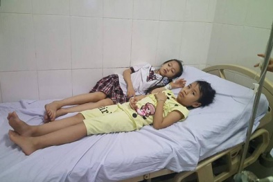 Ăn quả ngô đồng nhặt ở sân trường, 9 học sinh lớp 2 bị ngộ độc