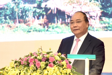 Thủ tướng: Năng suất lao động nhìn chung còn thấp so với thế giới