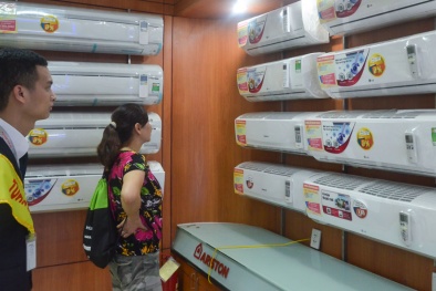 Các mẫu nhãn năng lượng và cách nhận biết