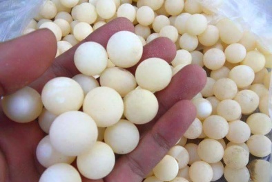 Sốt mua trứng ba ba tẩm bổ: ‘Thần dược’ có đang bị thổi phồng?