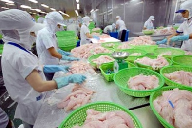 Doanh nghiệp Việt Nam phản đối Mỹ áp thuế chống bán phá giá cá tra