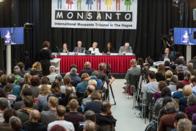 Tập đoàn Monsanto đã hủy diệt môi trường Việt Nam