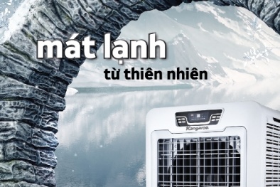 Kinh nghiệm lựa chọn thiết bị làm mát không khí cực chất phù hợp với gia đình