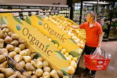 Nhập nhèm thực phẩm hữu cơ