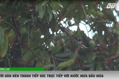 Chuyên gia cảnh báo mưa axit đầu mùa cực nguy hiểm