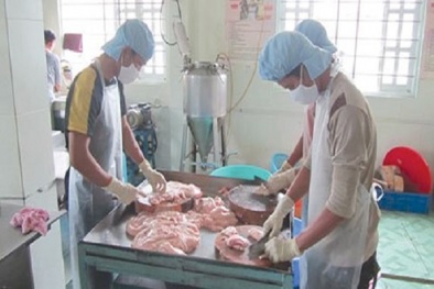 Điều kiện bảo đảm an toàn thực phẩm với cơ sở sản xuất thực phẩm tươi sống