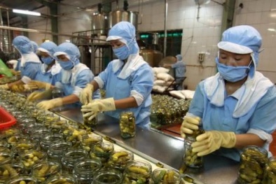 4 tháng đầu năm: Xuất khẩu rau, quả ước đạt một tỷ USD