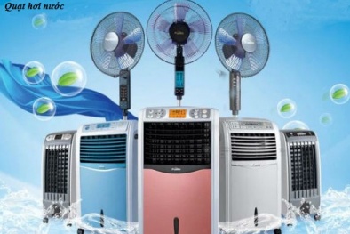Cách chọn mua quạt hơi nước phù hợp nhất cho mọi nhà