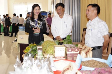 Giải quyết khó khăn, liên kết phát triển KH&CN vùng Nam Trung bộ và Tây Nguyên
