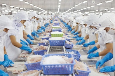 Gợi ý các bước triển khai ISO 22000 giúp doanh nghiệp áp dụng thành công