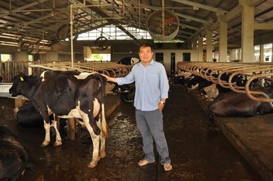 Tỷ phú bò sữa và giấc mơ thoát khỏi 'ao làng'