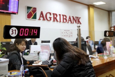Lào Cai: Sổ tiết kiệm Agribank trị giá hàng chục tỷ đồng nghi bị làm giả