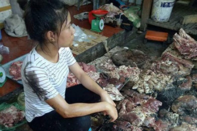 Một công ty thu mua hết đàn lợn của tiểu thương bị hắt chất bẩn
