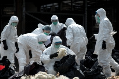 Virus cúm H7N9 lây truyền nhanh gấp 1.000 lần tiến gần Việt Nam