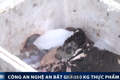 Nghệ An: 250kg Chân giò và nội tạng bẩn, bốc mùi hôi thối, nhung nhúc ruồi nhặng