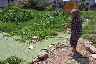 Thanh Trì, Hà Nội: Người lớn làm ăn cẩu thả, bé gái 5 tuổi chết thương tâm